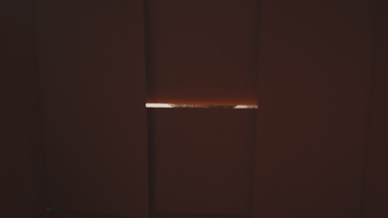 Load video: unboxing Zoodle product